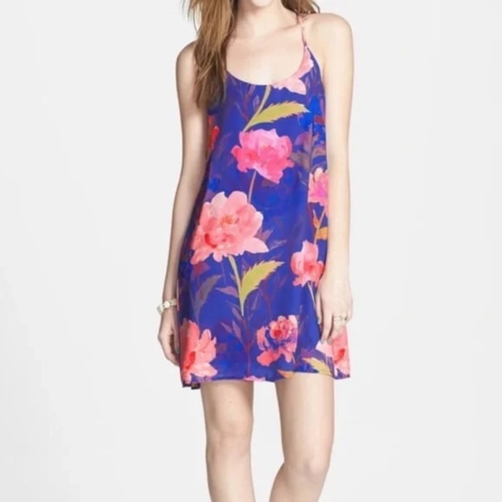 Everly Blue & Pink Floral Sleeveless Mini Dress Size XS